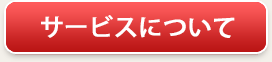 Active! drive SSについて